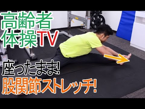 Easy Hip Stretches You Can Do While Seated! [Senior Exercise TV]