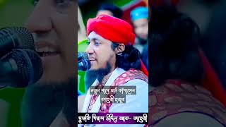 নতুন শানে মাঠ কাঁপালেন তাহেরী হুজুর?❤️ jikir viralvideo gias_uddin_taheri taheri_waz_2024jikir