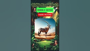 “Only 1% Can Guess All These Animals Right – Can You?” #animalshorts #dailyquiz #quizchallenge #quiz