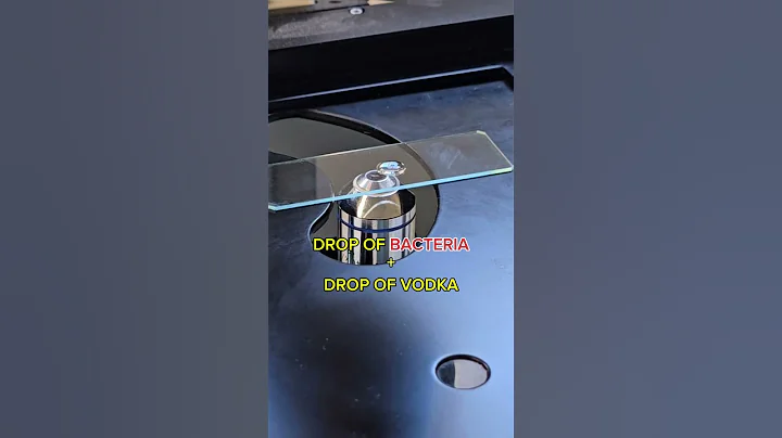 Vodka vs wiggly bacteria under the Microscope #viralshort #fyp