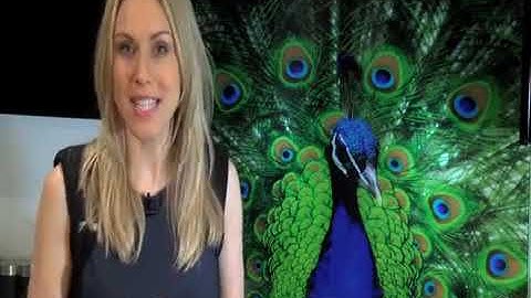 shenzhen inzlite glass production video dispaly ALIBABA