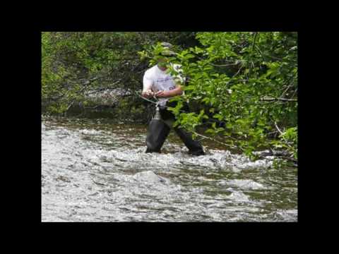 Fly Fishing the Upper Big Thompson