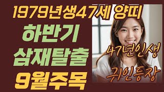 79년생 양띠 2025년하반기 운세/ 하반기 삼재탈출!&quot; (55.67.79.91.03)년생