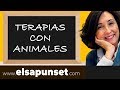 Terapias con Animales - Equinoterapia  - Inteligencia Emocional - Elsa Punset