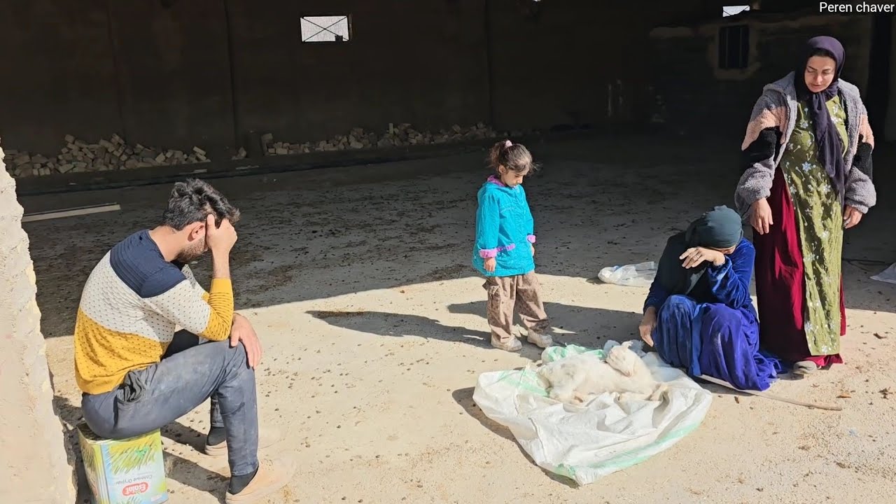 "Master Builder in Pain and Sorrow: And Grandma's Tears"