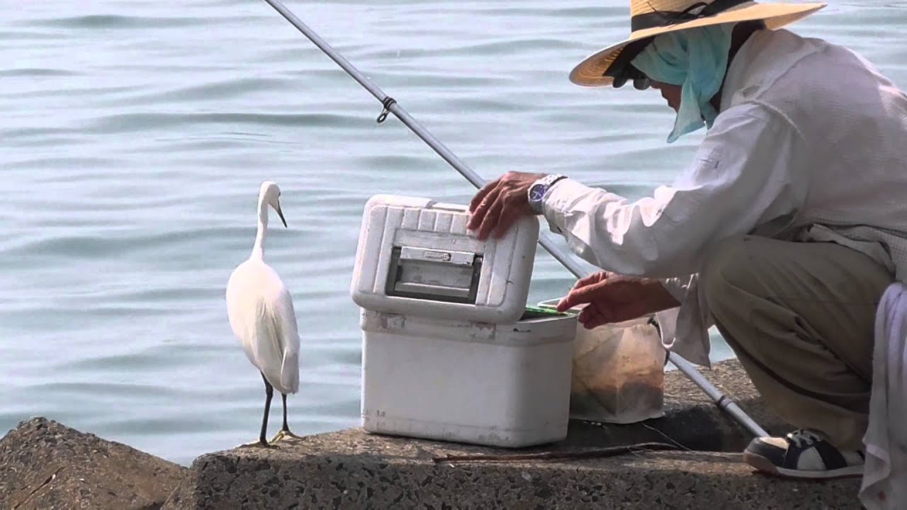 釣り人とシラサギ
