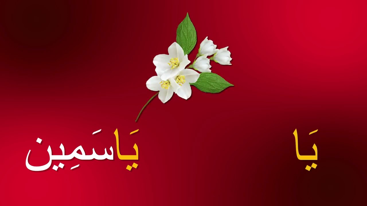 حرف الياء