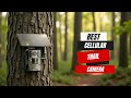 Best Cellular Trail Cameras 2025 – Top 5 Picks for Hunters &amp; Nature Lovers!