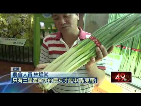 用粉蔥魚目混珠！　市場現「山寨三星蔥」20151012