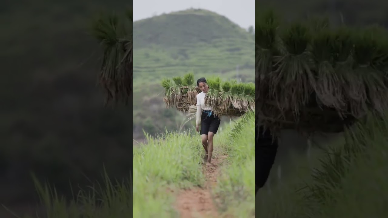 A Day in the Loess: Embracing Nature's Canvas