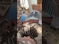 Bucket conveyor fluid coupling oil replacement work.