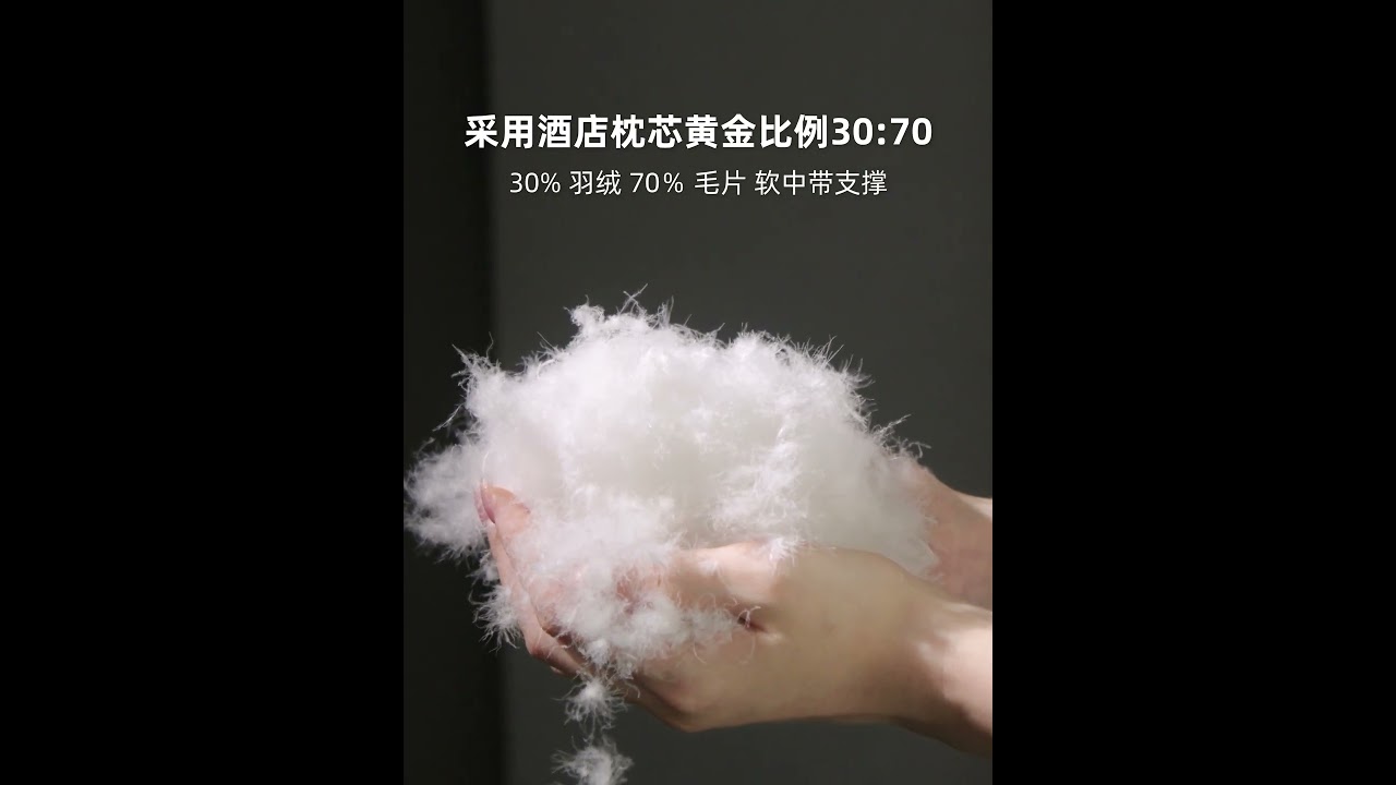 Luxez奢华鹅绒羽毛枕 (49×74cm)