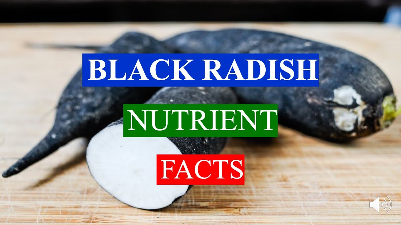 ЧЕРНАЯ РЕДИСКА — ПОЛЬЗА ДЛЯ ЗДОРОВЬЯ И ПИЩЕВЫЕ ЦЕННОСТИ