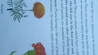 Evs class 4 chapter 5 Plants around us