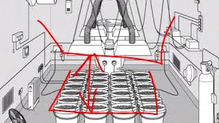 Marijuana Garden Science Hydroponic System What You Should know by The Grow Boss
