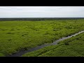 Rewetting and restoration of peatlands in Katingan-Mentaya, Indonesia