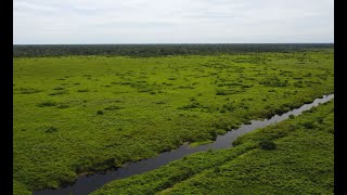Rewetting And Restoration Of Peatlands In Katingan-Mentaya, Indonesia