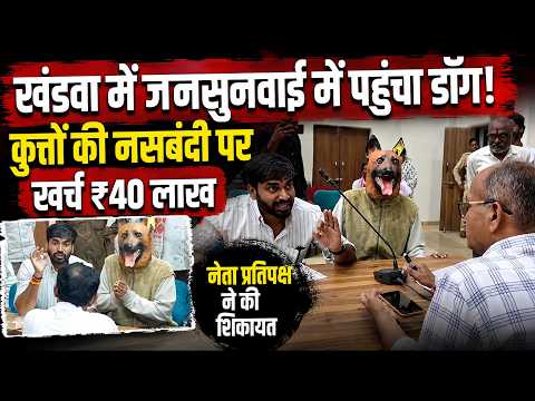 खंडवा की जनसुनवाई में पहुंचा डॉग, नसबंदी के ₹40 लाख पर उठे सवाल!