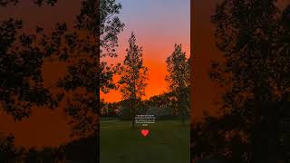 #nature#foryou #facts#quotes #viral #shortvideo #softness#environment#trending #shorts#youtubeshorts