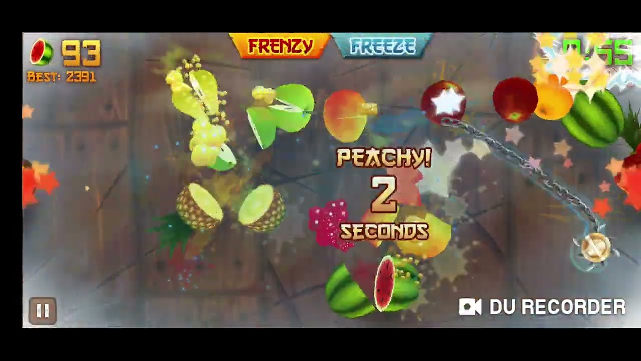 Fruit Ninja High Score 1578