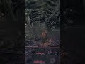 This Boss Has Unique Design - Dark Souls