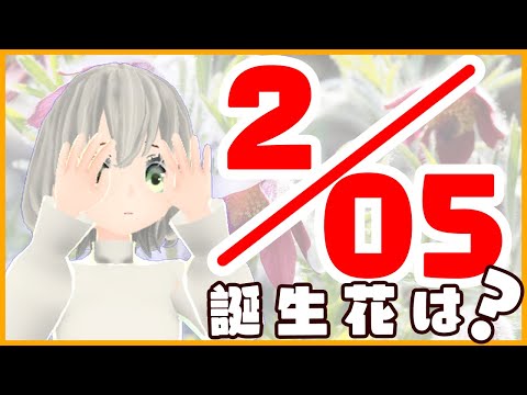 【花言葉】２月５日の誕生花は？／花白もか