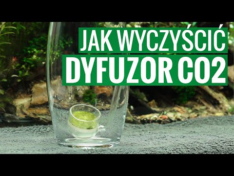 Wideo: Jak myć rośliny akwarium