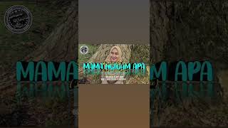 Mama Ngidam Apa Remix