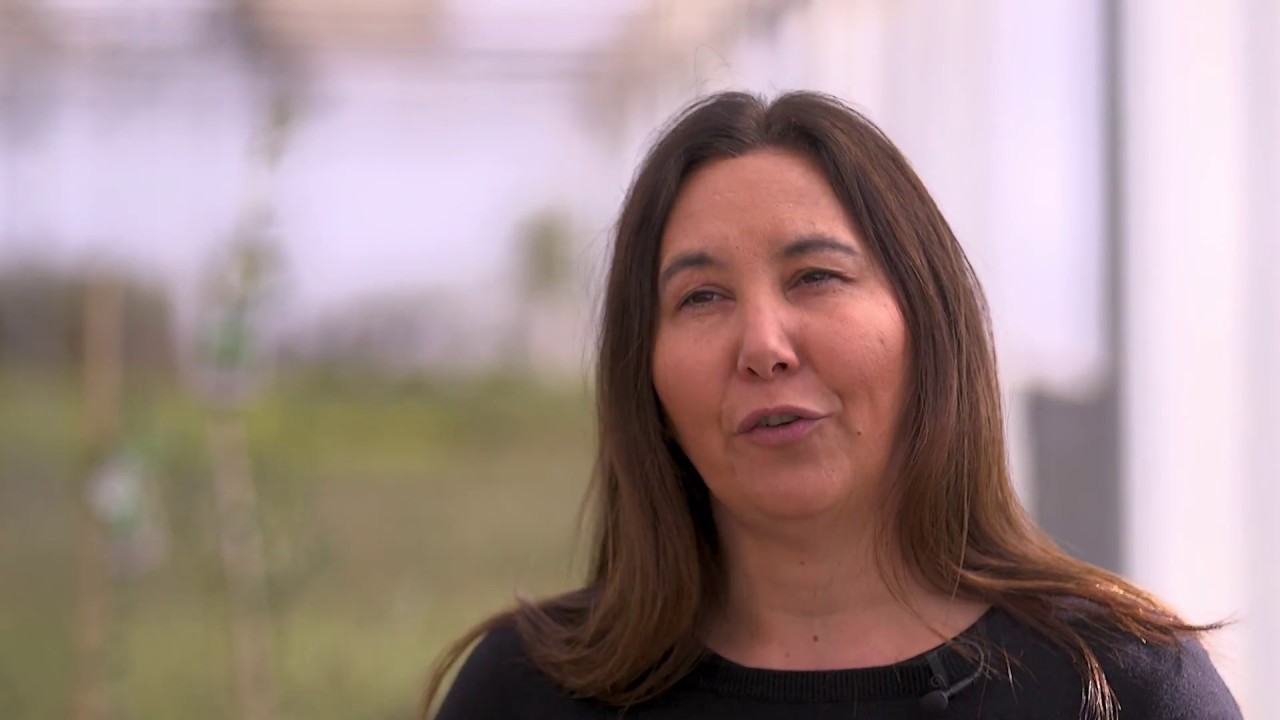 Meet Claudia Guillaume from the Olive Wellness Institute