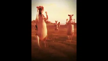 حمود حمادة 