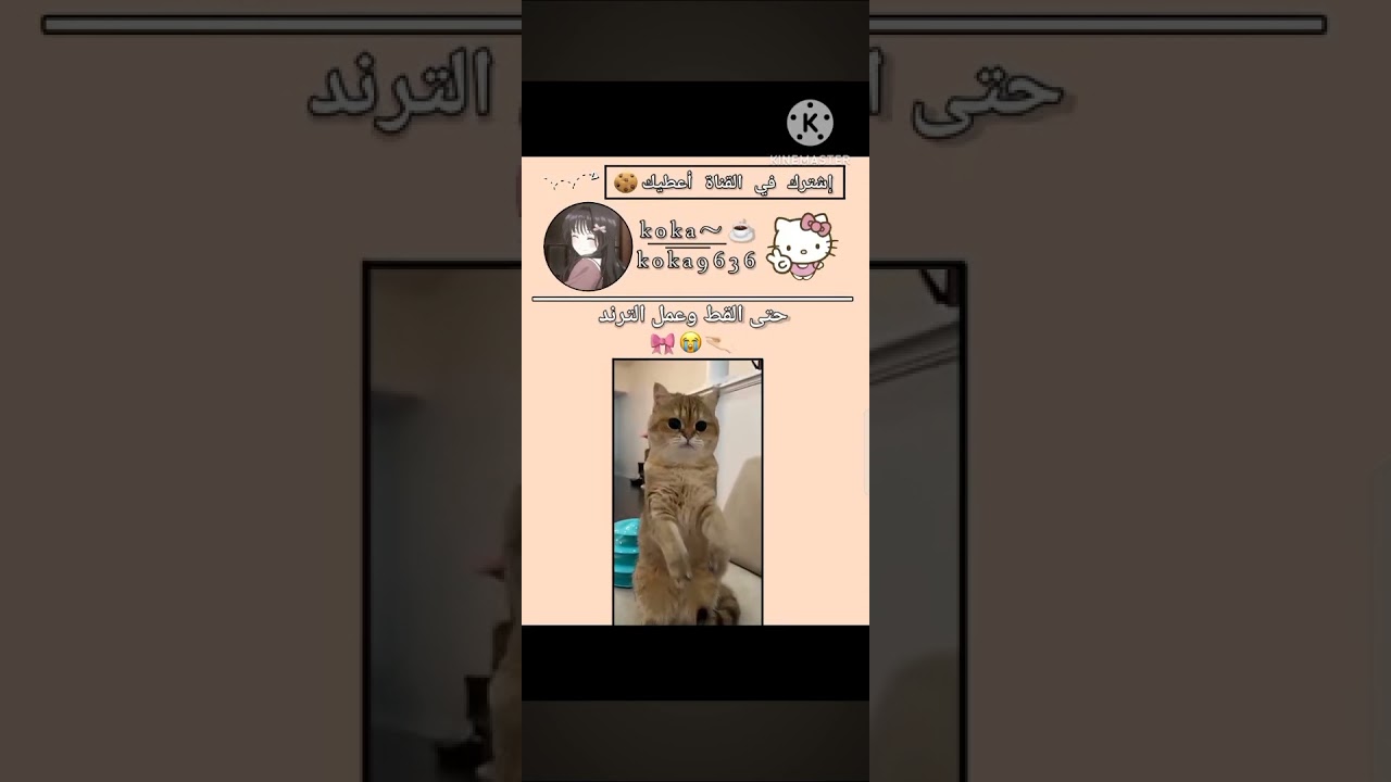 #اكسبلور #film #دويتو #لايك #الوكره #قصص #blackpink