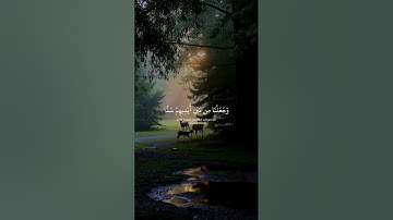 #ماهرالمعيقلي 🌹#تلاوة_خاشعة #رح_سمعك #اكسبلور #islam#viral #viral#300k#fyp#foryou#fyp