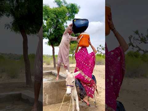 Very Funny And Interesting Video Of Donkey And Girl Donkeyvideo