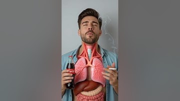 how drinking alcohol digest our stomach 3d animation #3danimation #animation #shorts