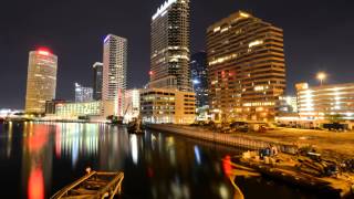 Best Time To Visit or Travel to Tampa, Florida