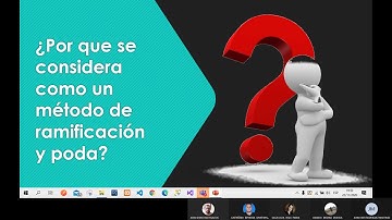 Ejemplo Método de ramificación y poda