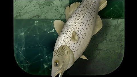 How to download latest chess enginee, opening book and droidfish app #stockfish #chessengine