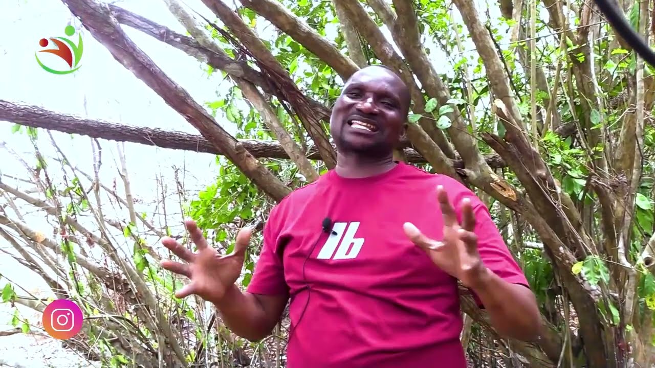 DR.SULLE-MMEA BORA KABISA KUWAHI KUTOKEA KATIKA USO WA DUNIA