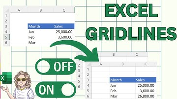How To Show Or Hide Excel Gridlines In 2 Seconds!