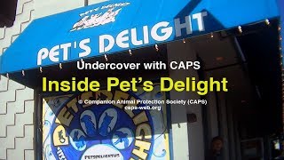 Inside Pet's Delight Pet Shop (SHOCKING Undercover Investigation)