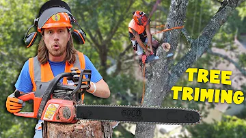 Tree Trimming | Chain Saw, Bucket Truck and Wood Chipper | Handyman Hal Tree Service