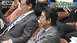 総額3兆円、補正予算案通過へ　議員定数削減は？(15/01/30)