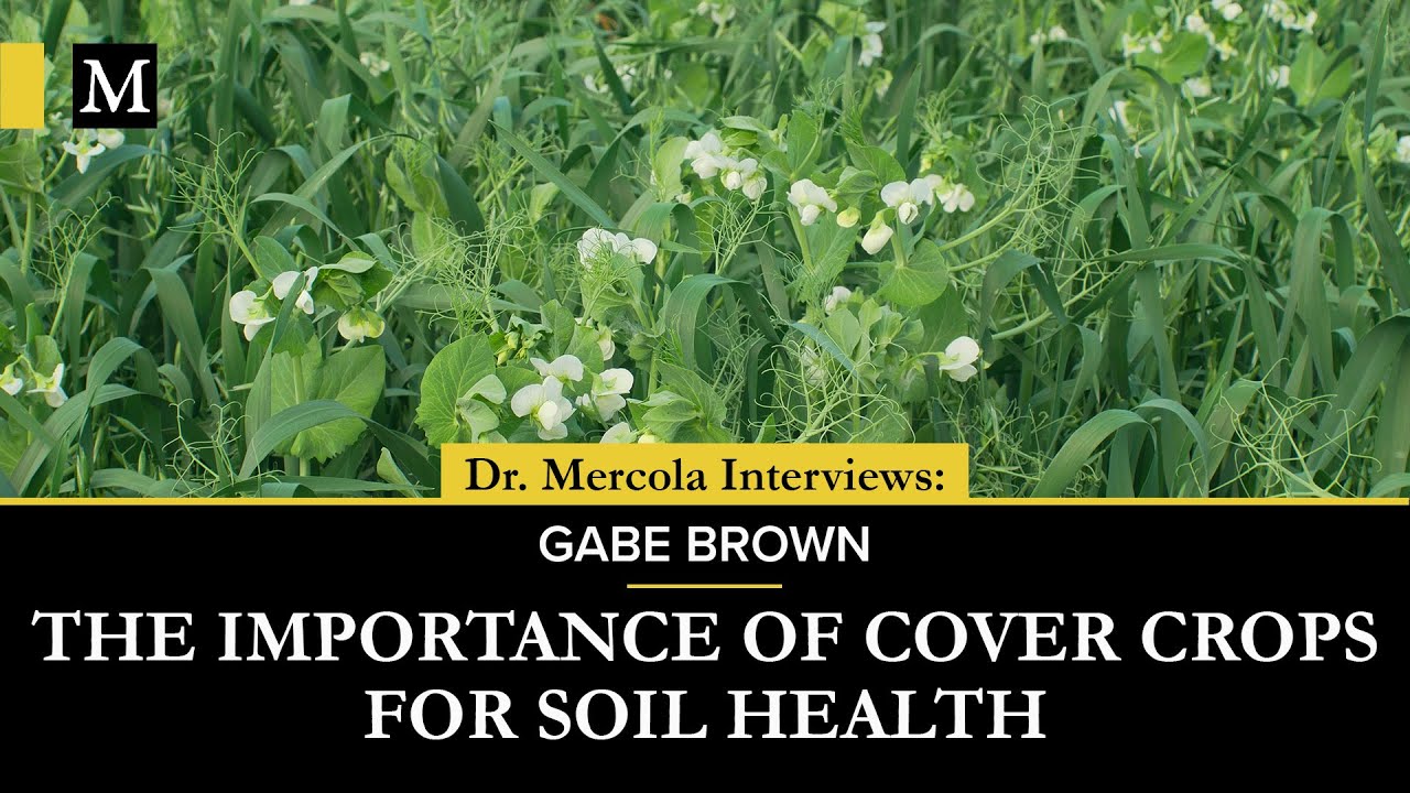 The Importance of Cover Crops for Soil Health – Interview With Gabe Brown