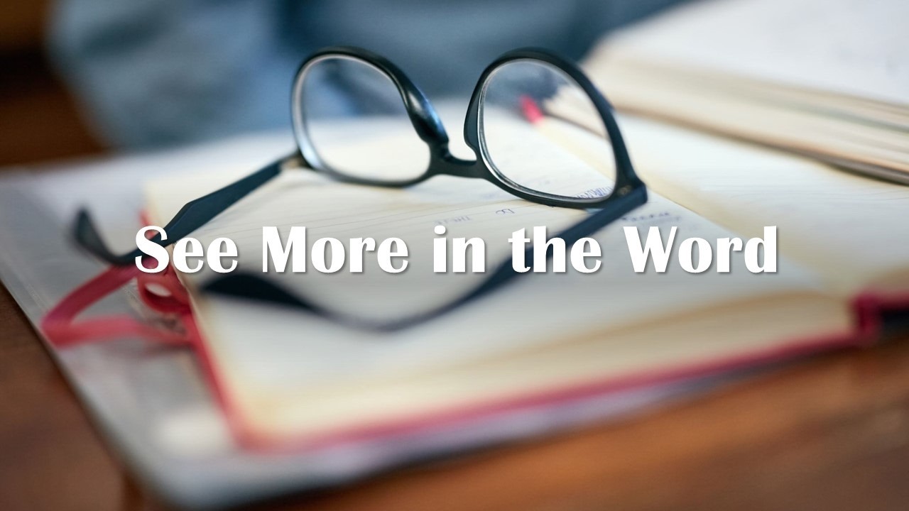 Hosea 8 - Reaping a Whirlwind