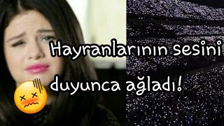 Selena Gomez Hayranlarının Sesini Duyunca Ağladı