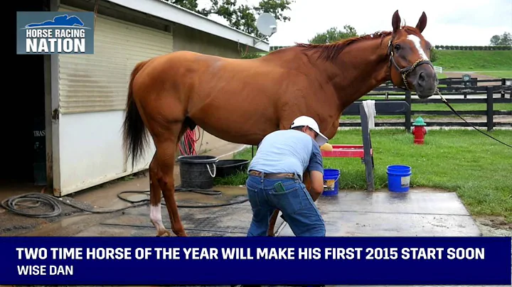 Wise Dan - Interview with Charles LoPresti