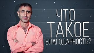 Что такое благодарность / Есть ли справедливость в жизни