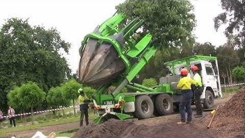 Tree Transplanting with ArborCo Melbourne.m4v