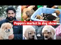 Dog show puppies market || Puppies market outside dog show ||