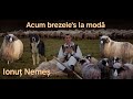 Ionut Nemes - Acum brezele's la moda 🐏 (Official Music Video)